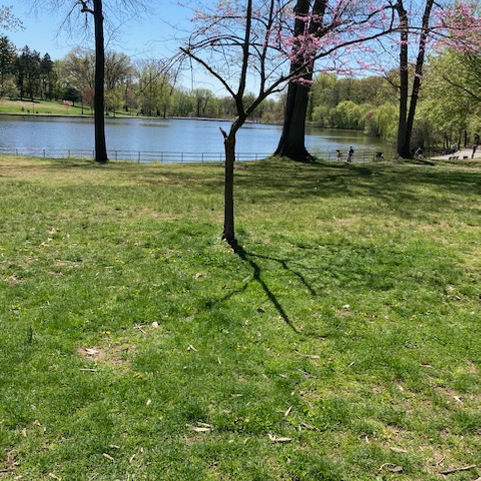 Image3