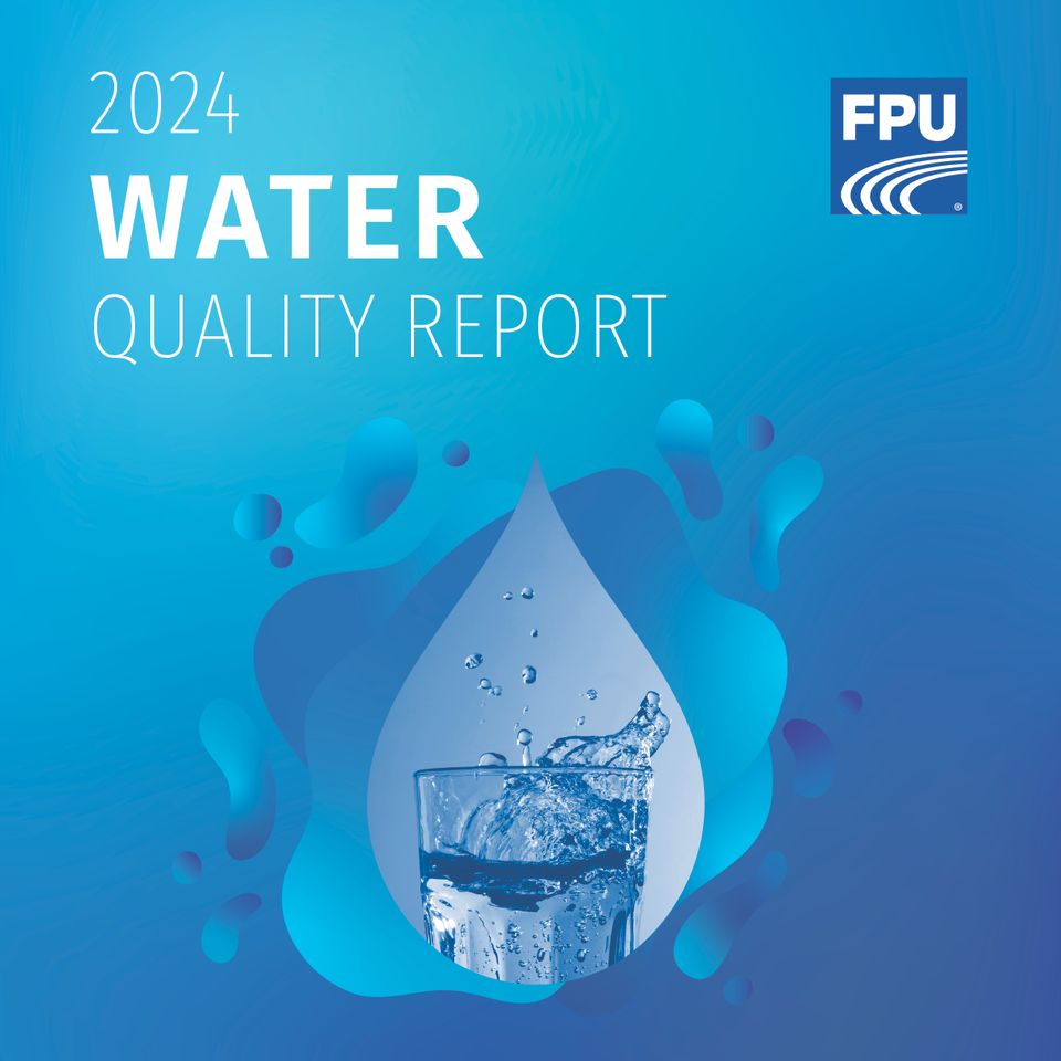 2024 wqr website