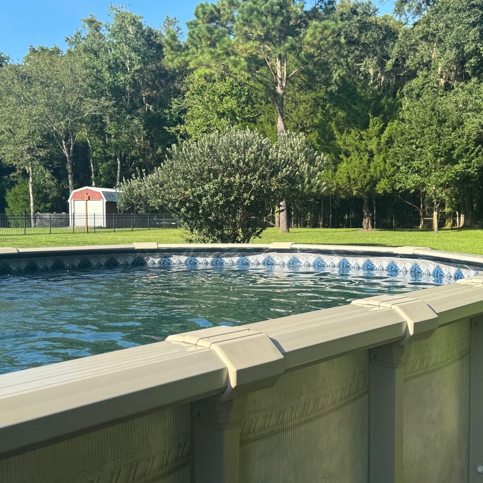 Dynasty with blue diamond