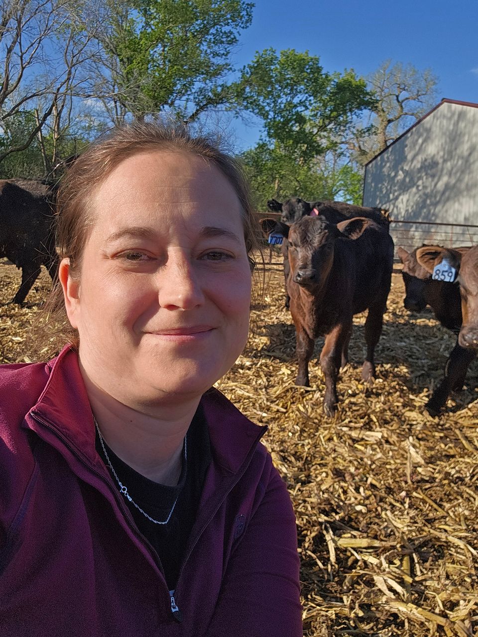 Fmn may 2026 beef plasma 1