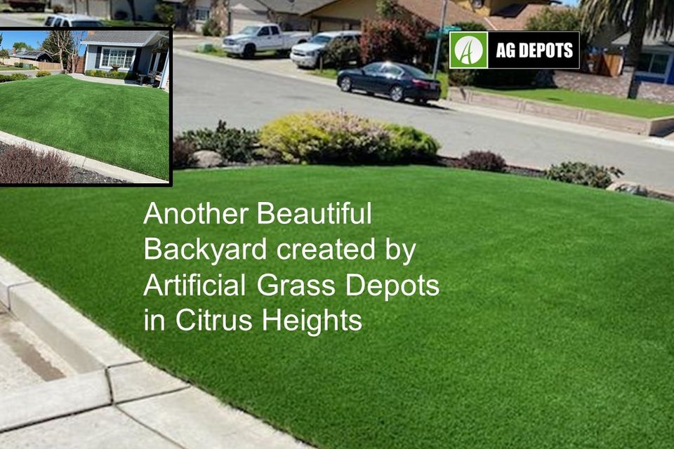 Citrus Heights artificial grass Depots plush 255 product