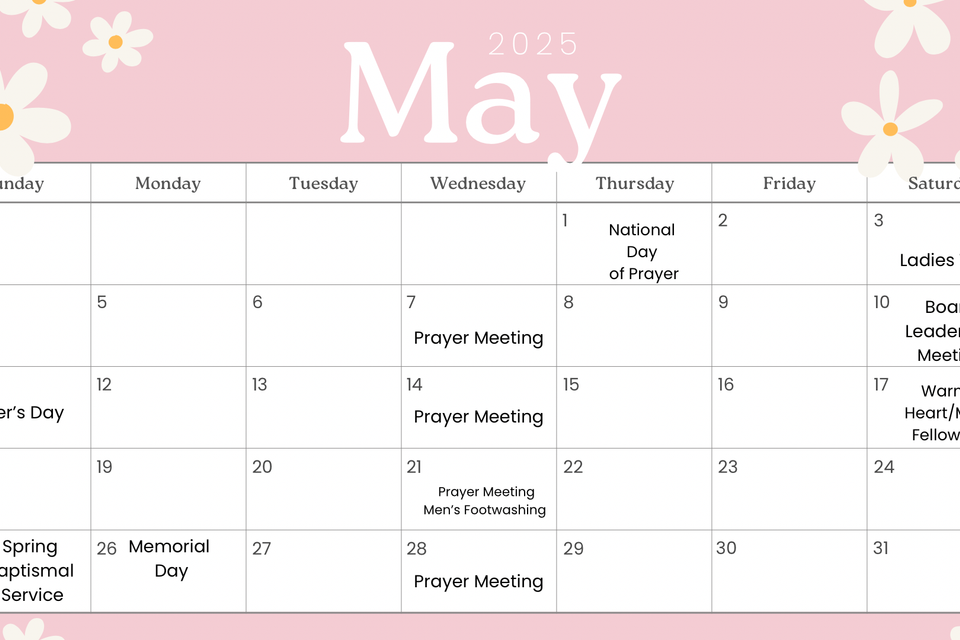 Pink daisy planner 2025 may monthly calendar
