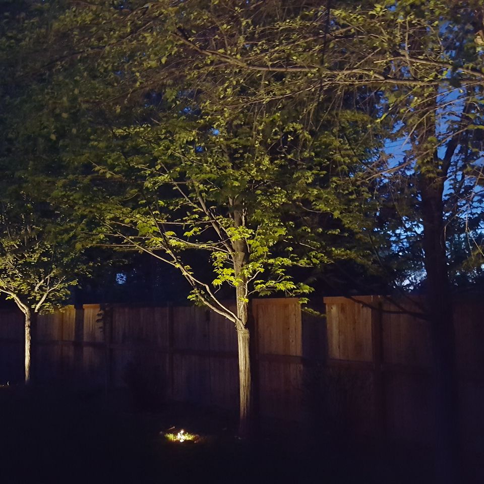 Accent tree lighting in backyard boise id