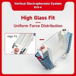 Vertical electrophoresis system be bve 4 3