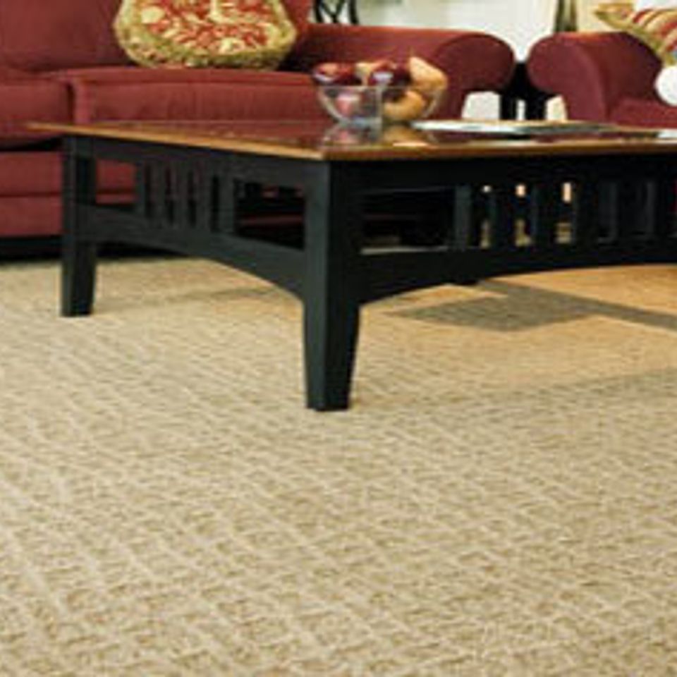 Carpet cleaning services colorado springs20151016 3409 7eccvo