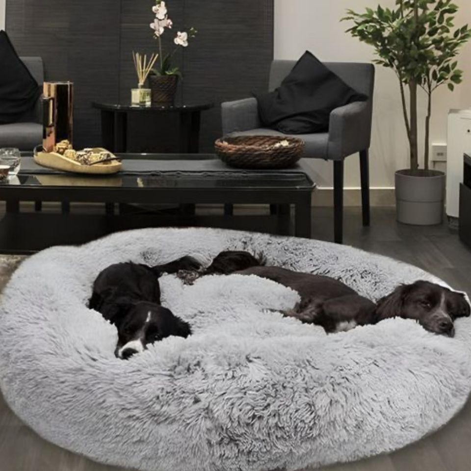Dog bed