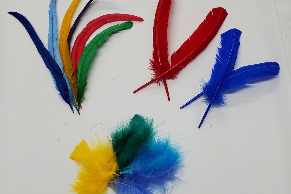Coque and quill feathers
