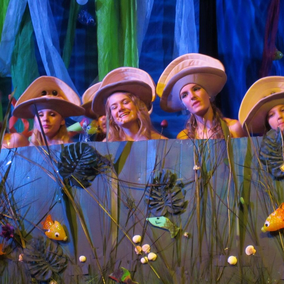 Little mermaid 2016 7