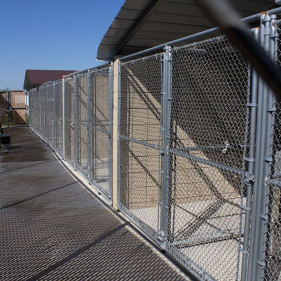 Dog kennels