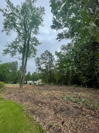 Lot clearing 5