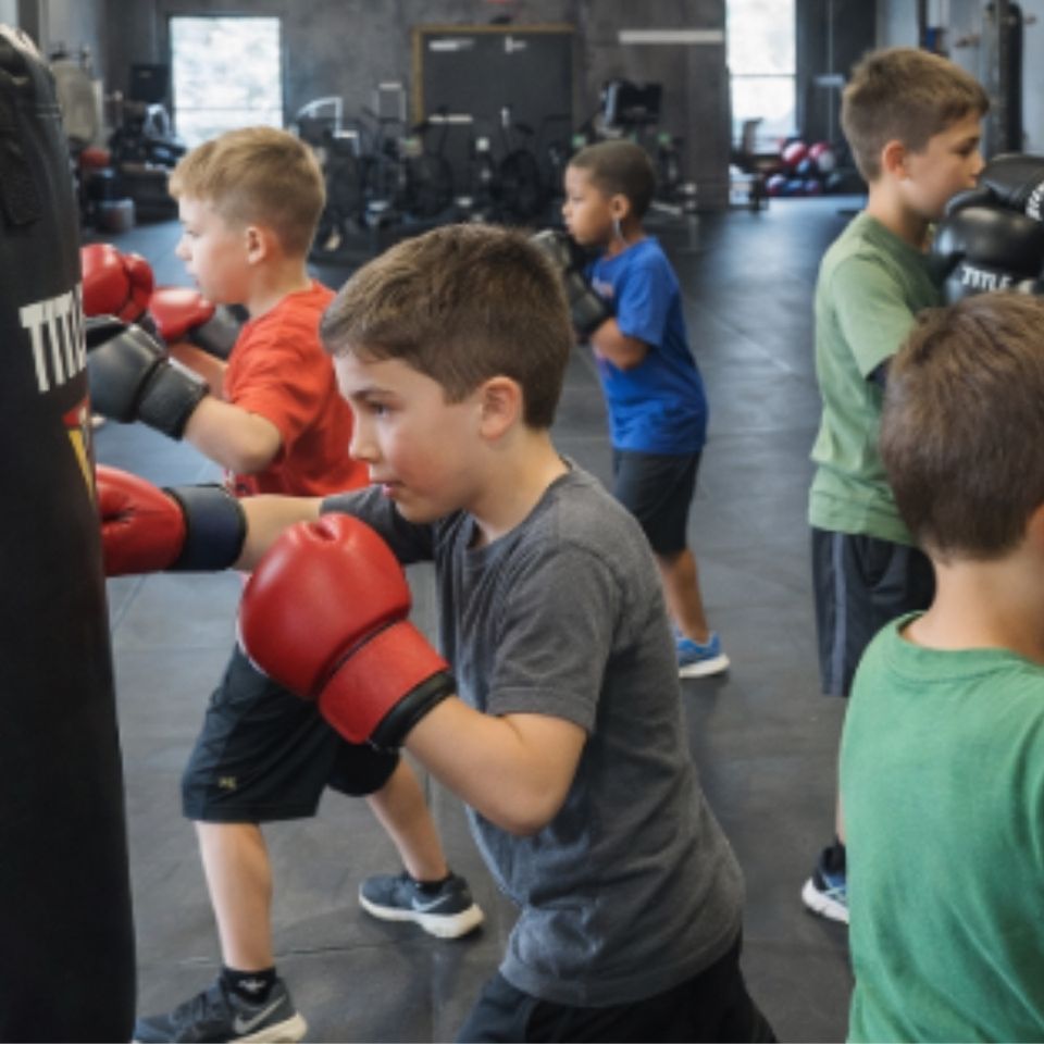 Next level training website (2)