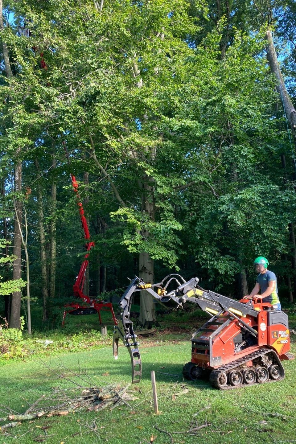Tree removal thumbnail img 1488