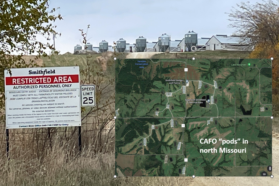 Cafo pods and smithfield