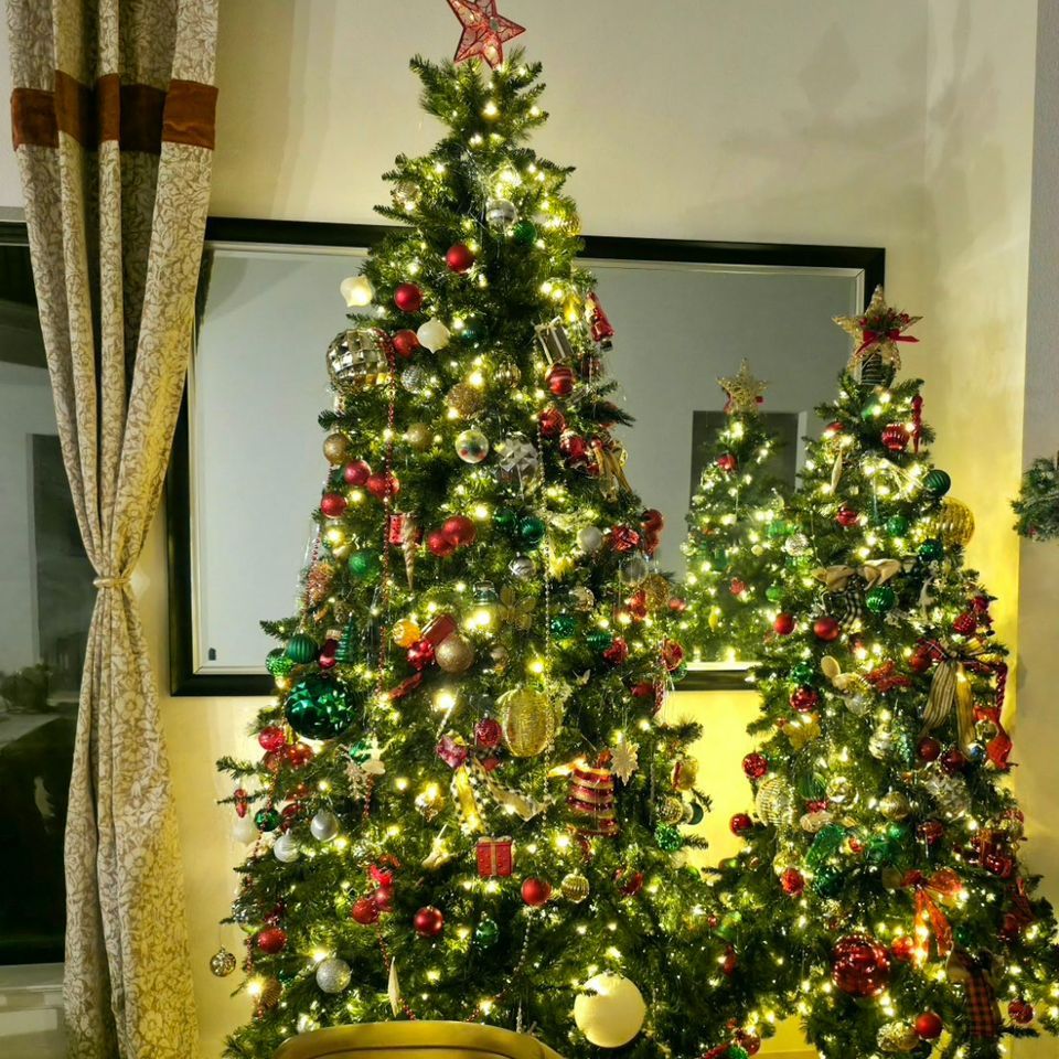Image2 (1)
