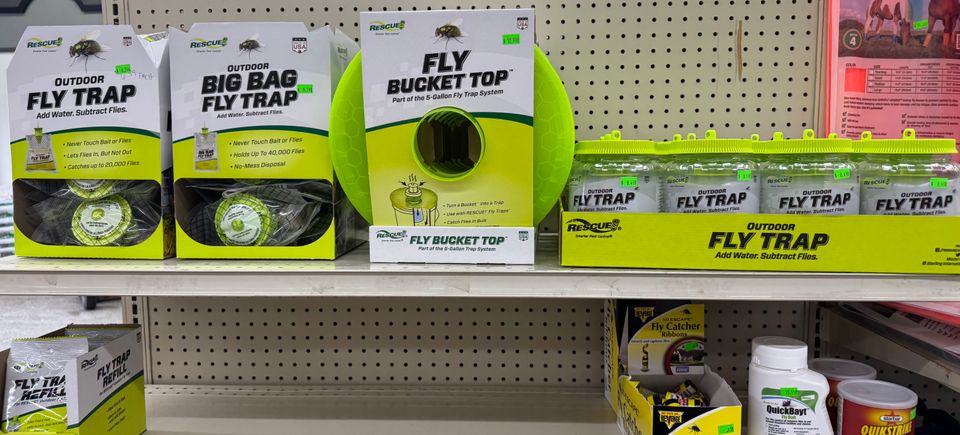 (upload from mobile 1771869743)img 5391