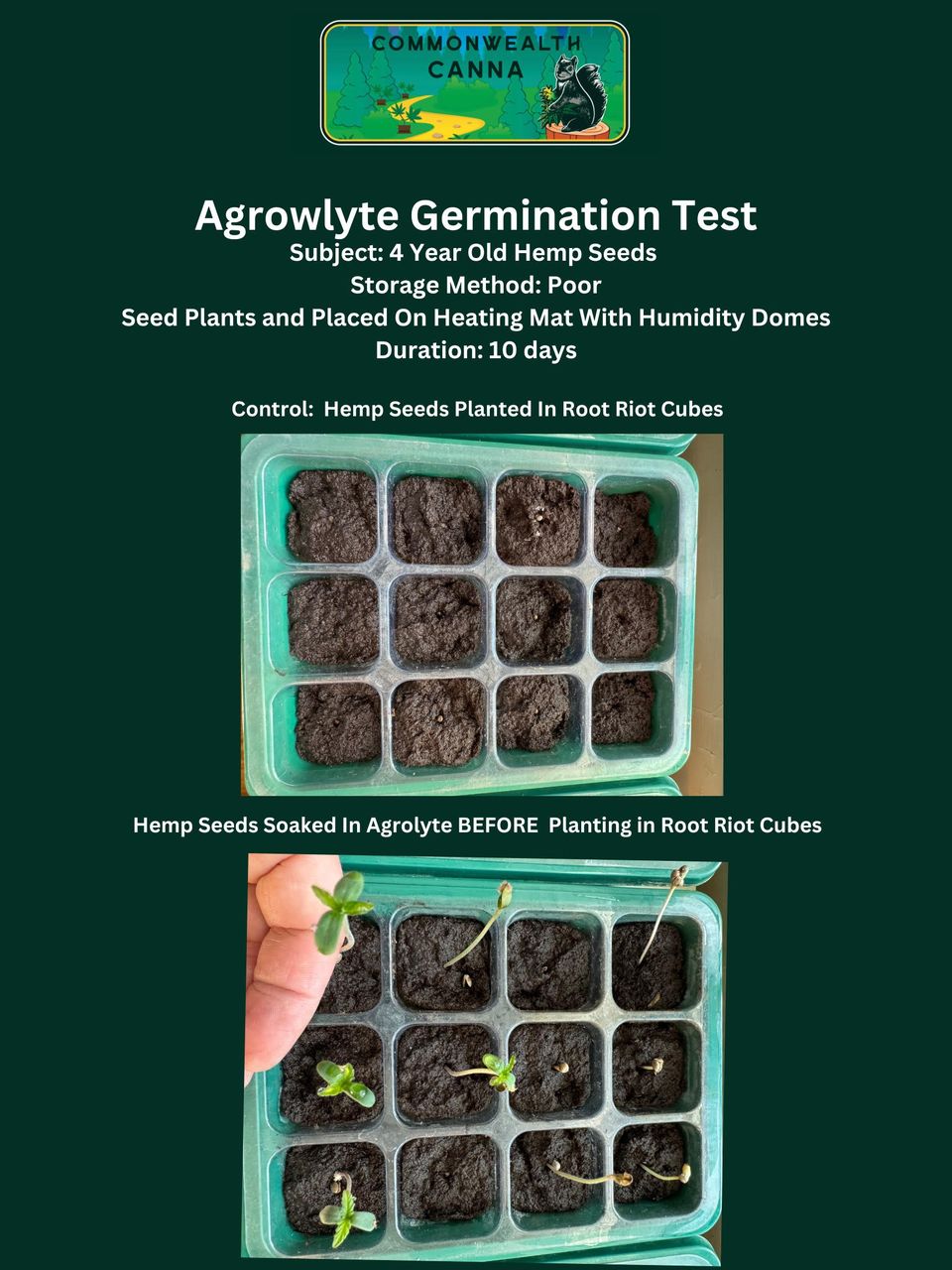Agrowlyte picture