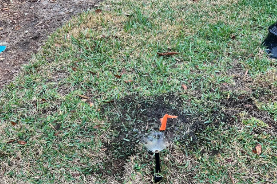 Screenshot 2025 10 20 081522