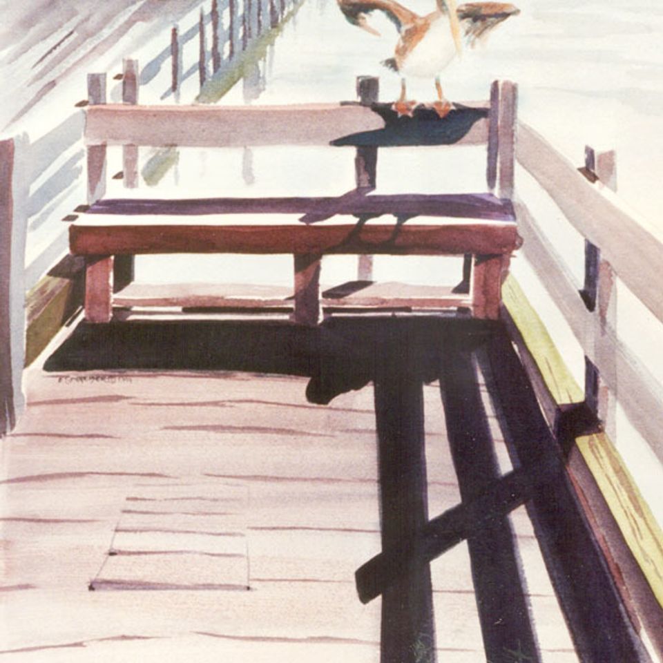 Pelican pete