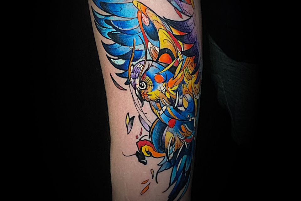 Colorful owl