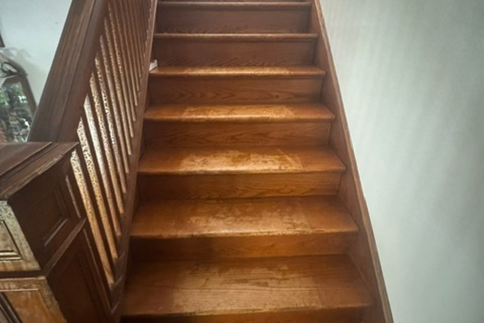 Img 0976