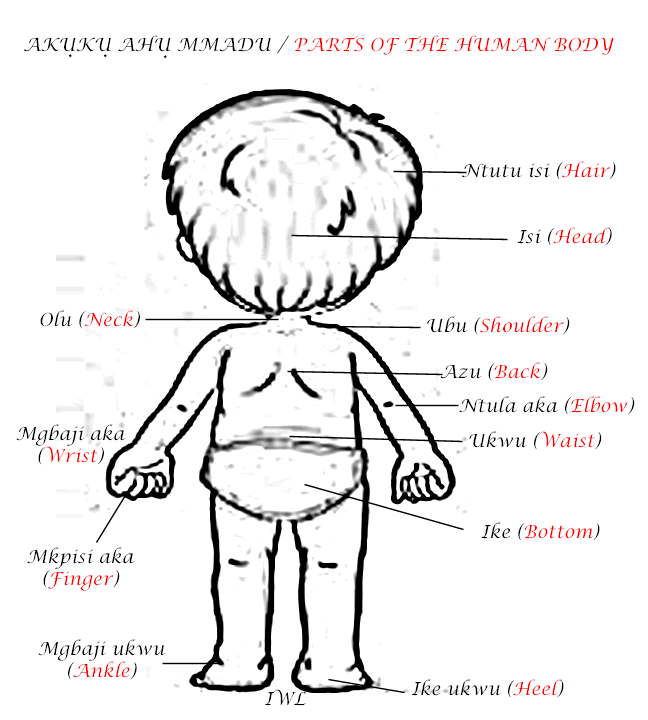 Igbo body parts 2