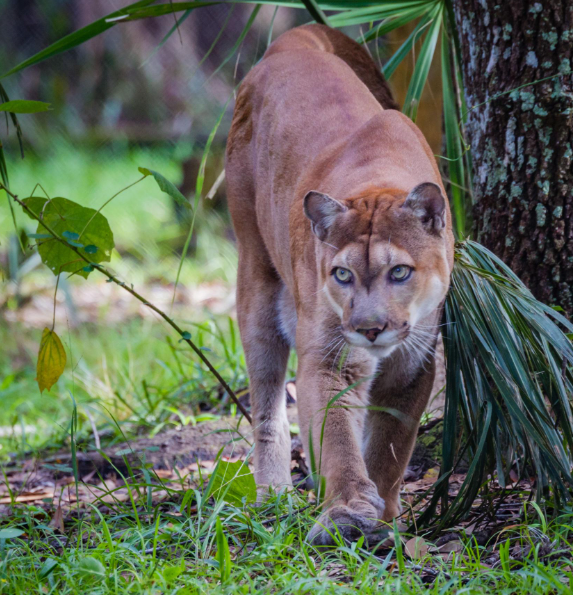 Screenshot 2026 02 23 at 11.02.38 am