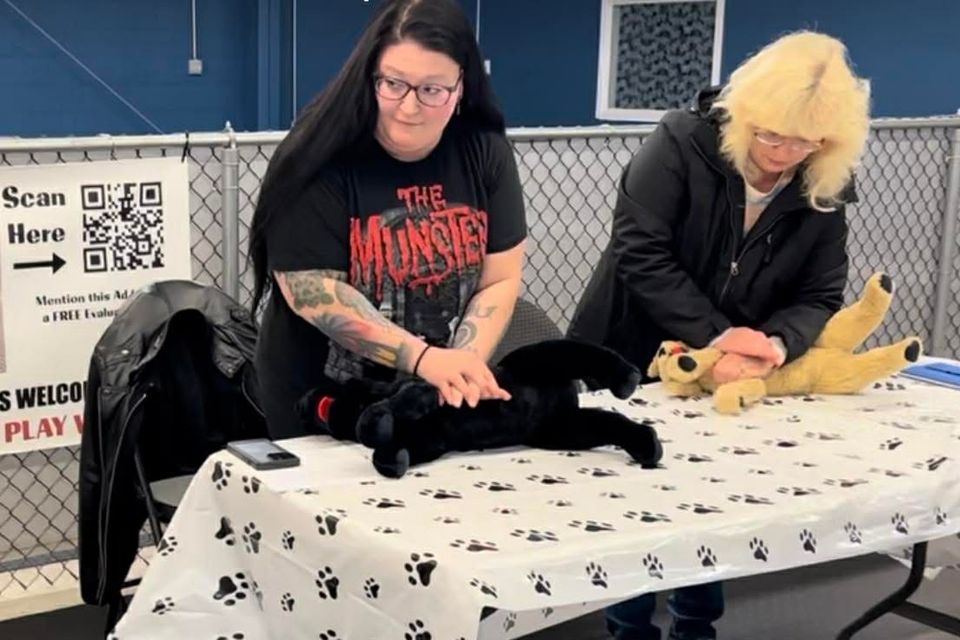 Wags to wishes pic 3