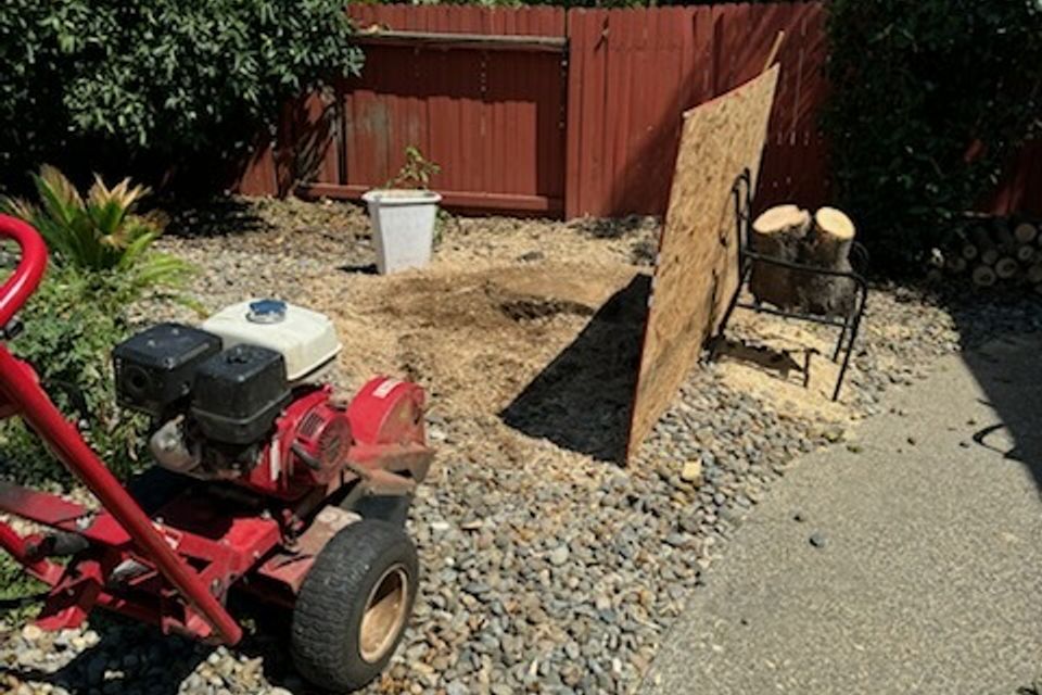 Tree trimming and stump grinding Roseville