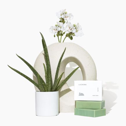 Aloeverasoap3.jpg