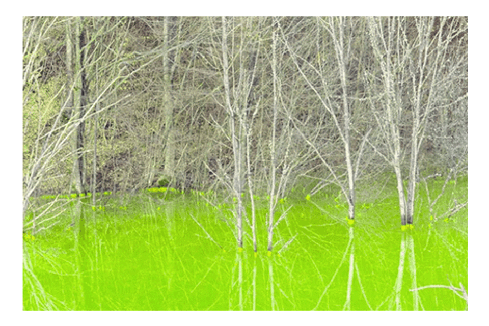 Poluted water