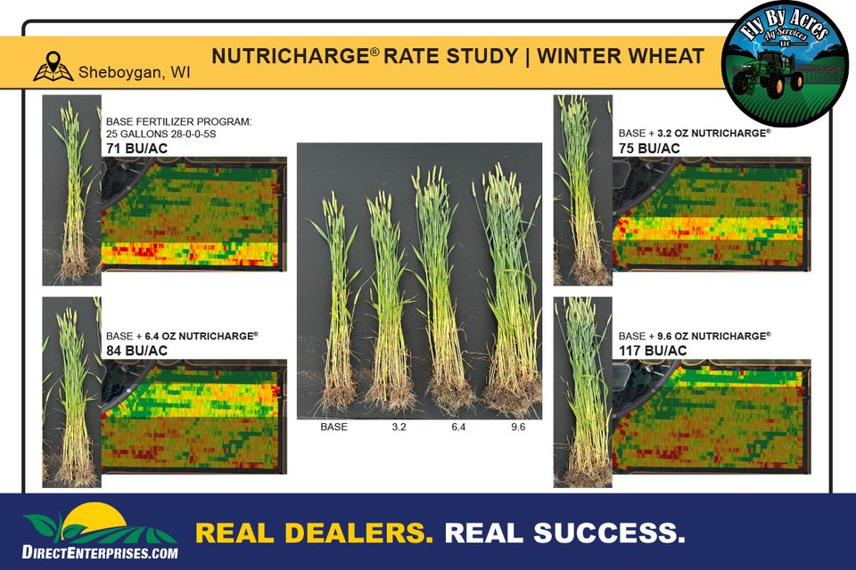 Fly by storyboards 20250823 1