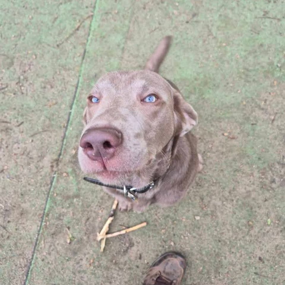 Fb img 1769435416121