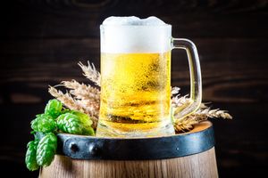Pint of beer ale