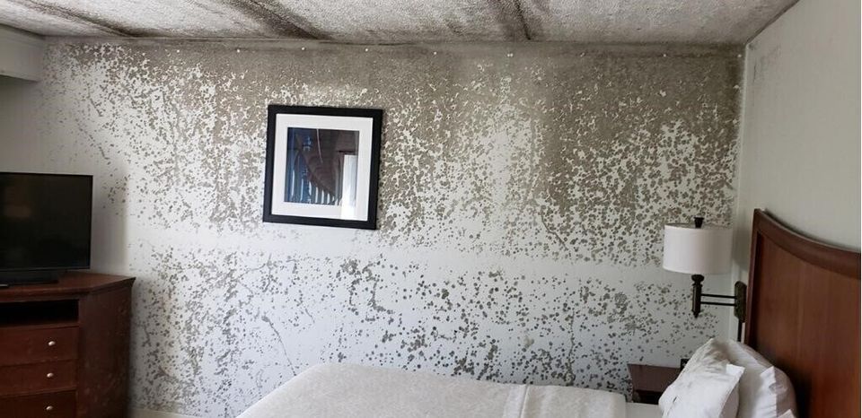 Asap mold walls