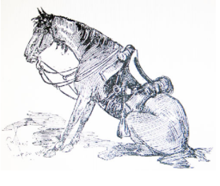 Horse20170816 2669 chkogz
