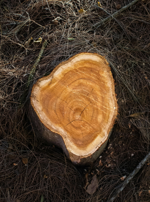 Screen shot 2026 02 27 at 11.27.33 am