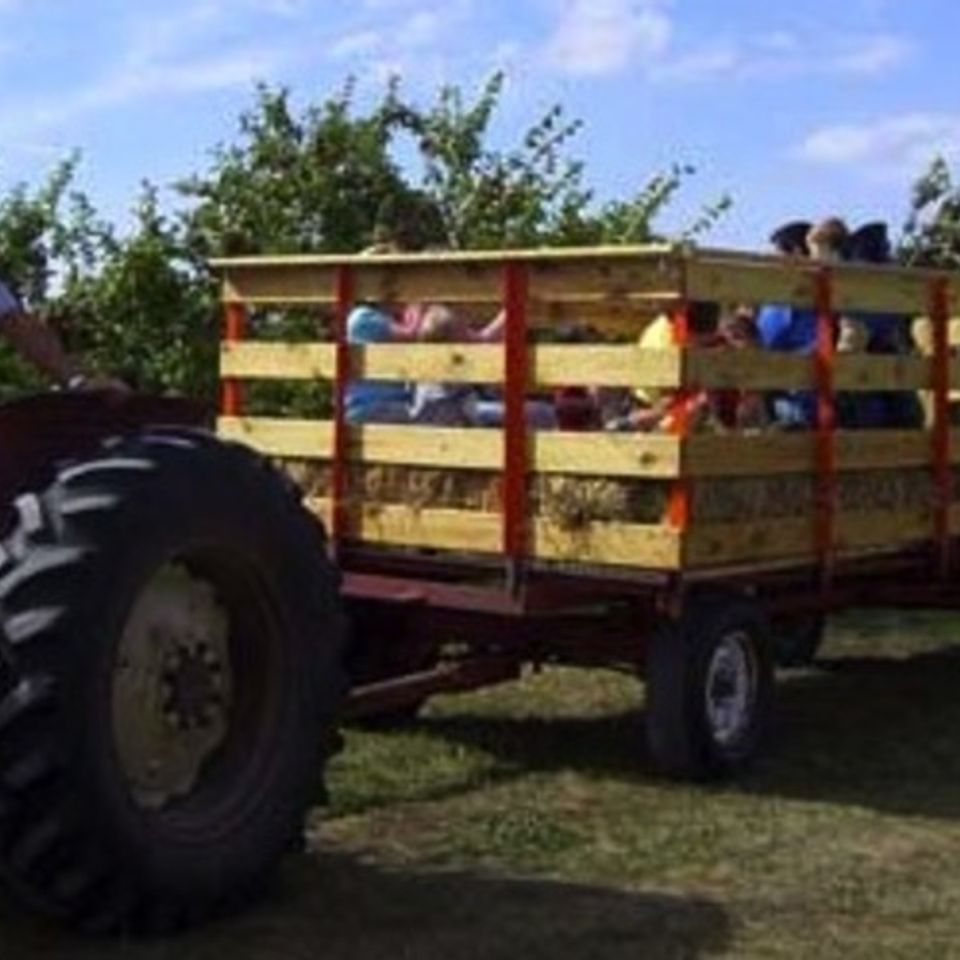 Hayride20130215 14590 mzsal6 0