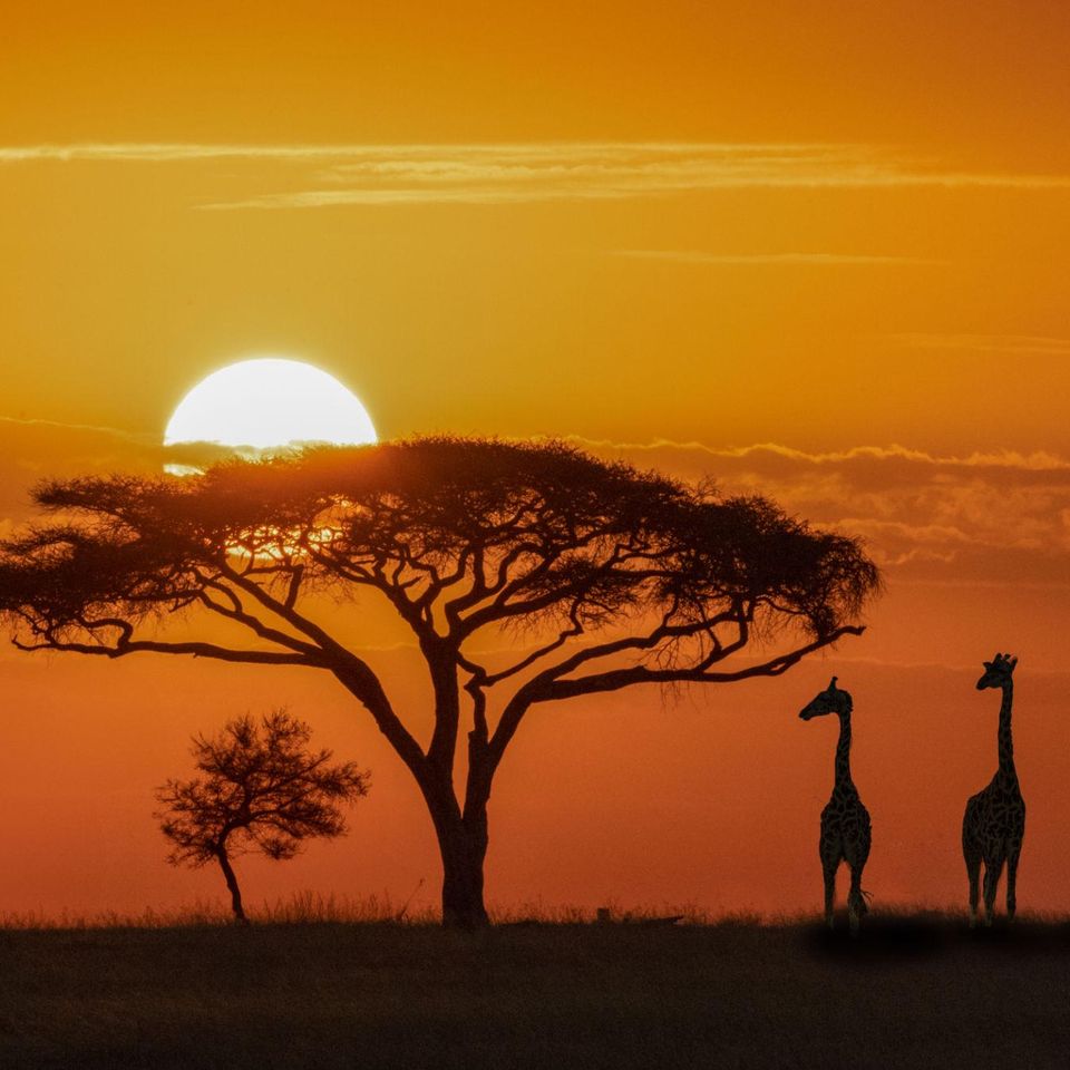 Sunset image