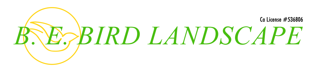 B E Bird Landscape