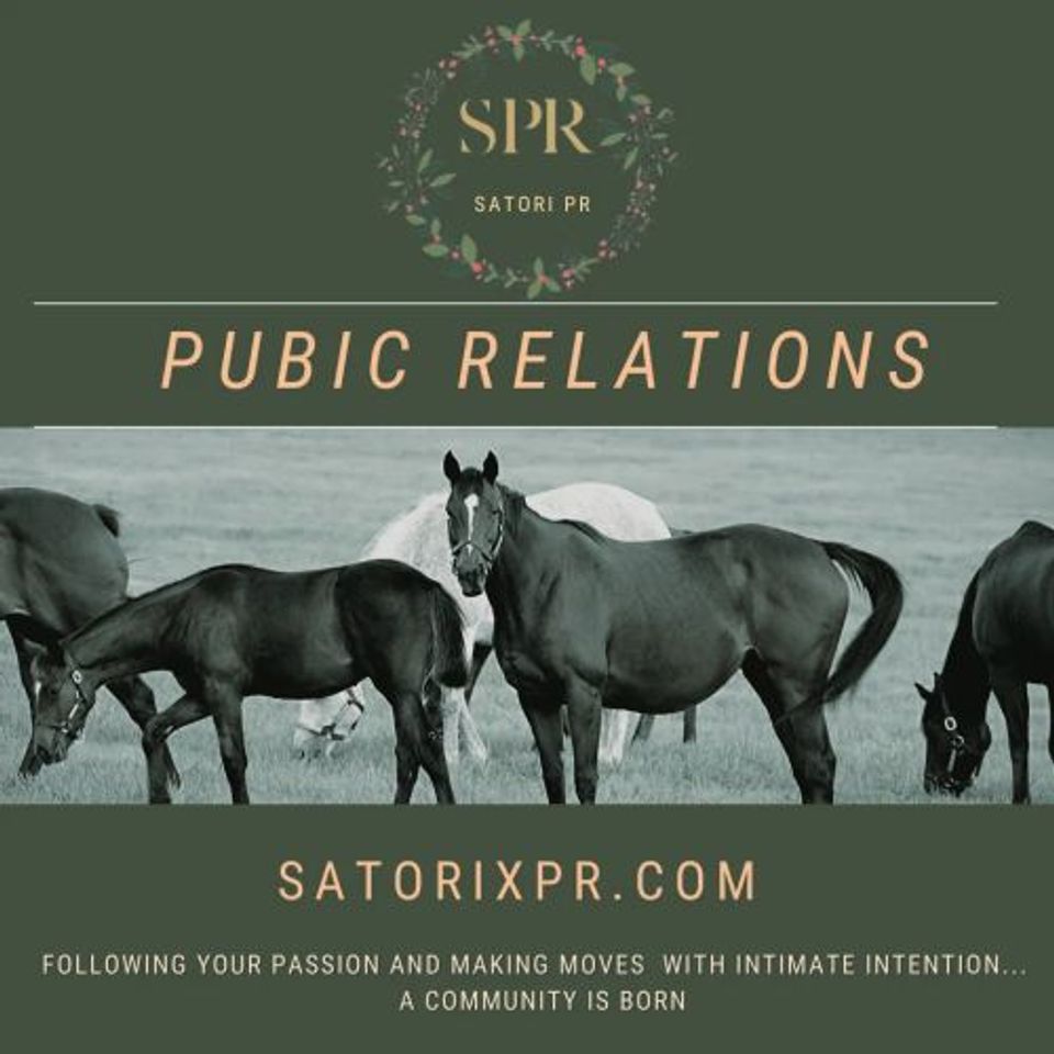 Satori pr logotype2 960x960 original original