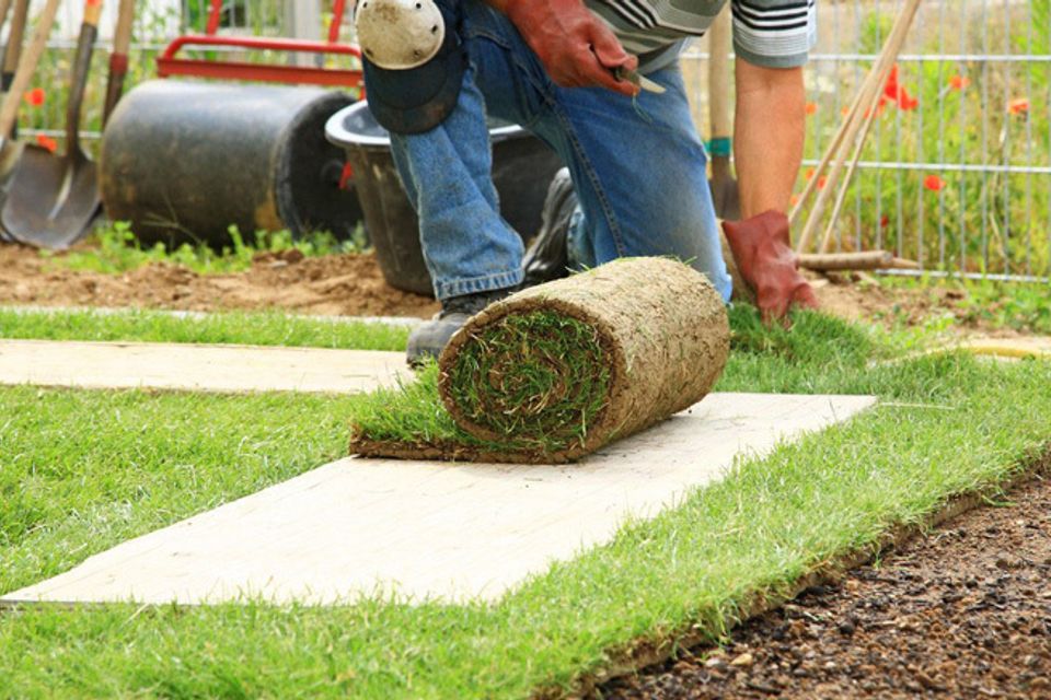 346379820170731 28746 1p6kf2n