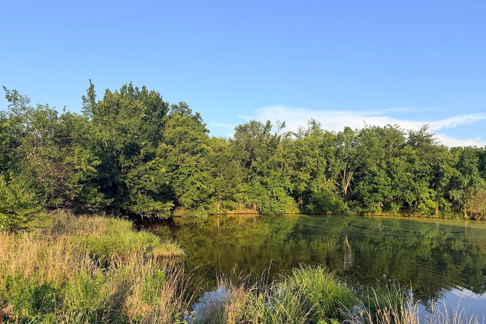 Went 72 22   pond from west