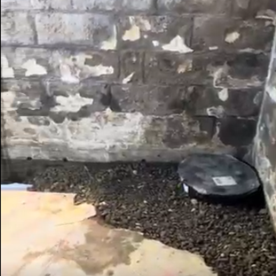 Screenshot 2025 11 16 080833