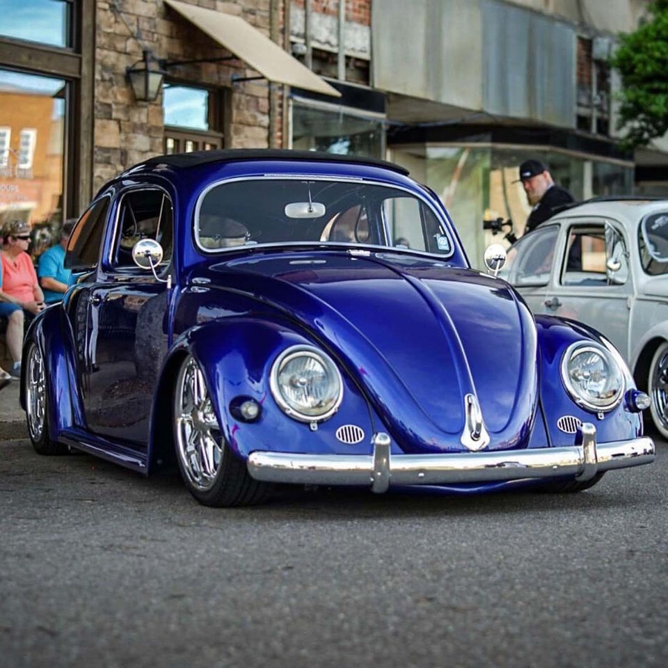 Bug