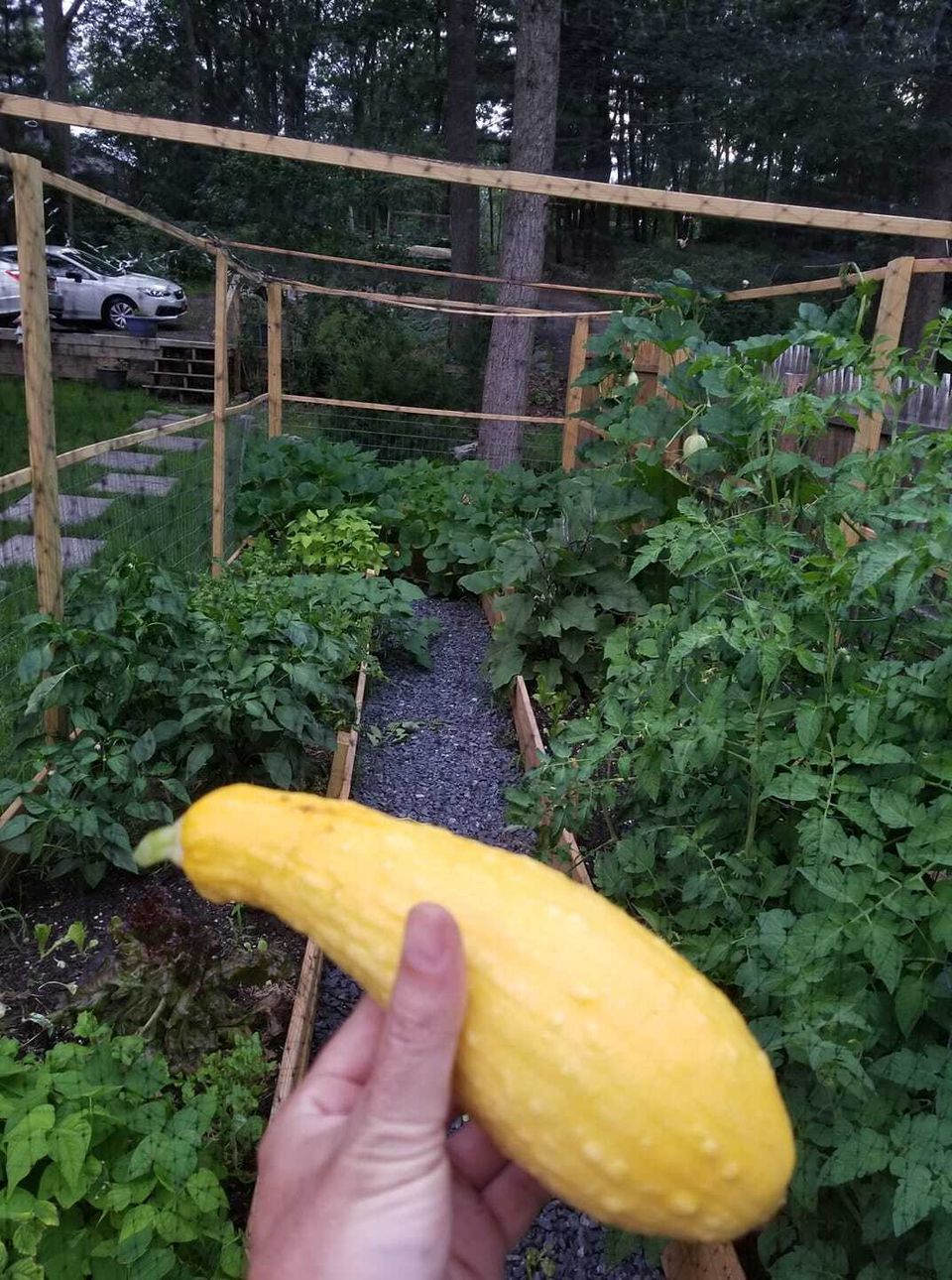 Squash