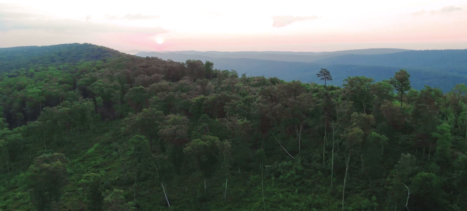 Screenshot 2026 03 12 at 1.00.44 pm