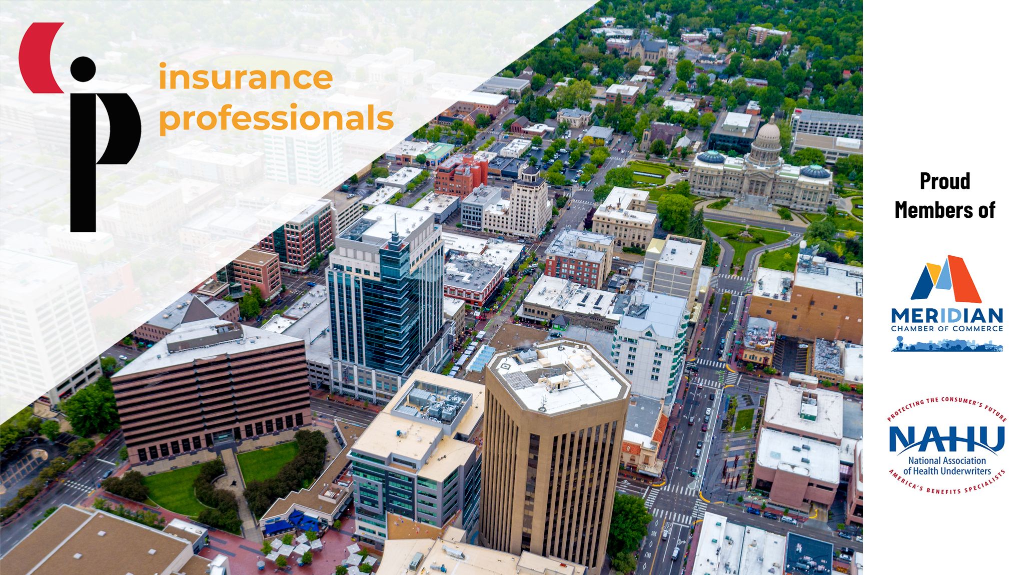 Insurance Professionals Inc. cover