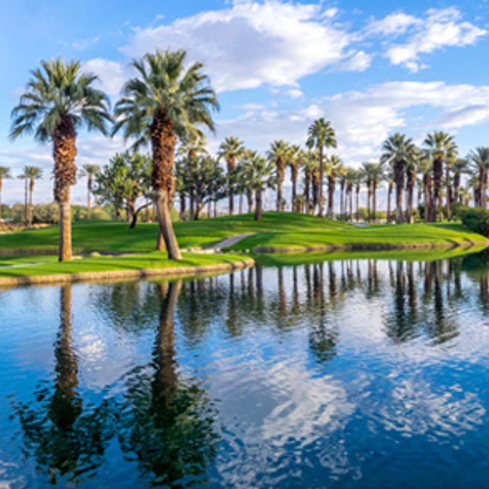 Usa (conus)   4 days   3 nights   palm springs