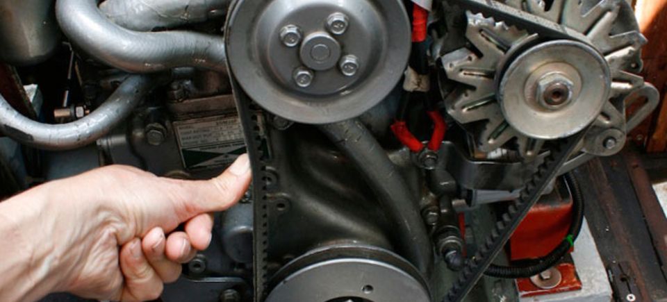 Crop drive belt