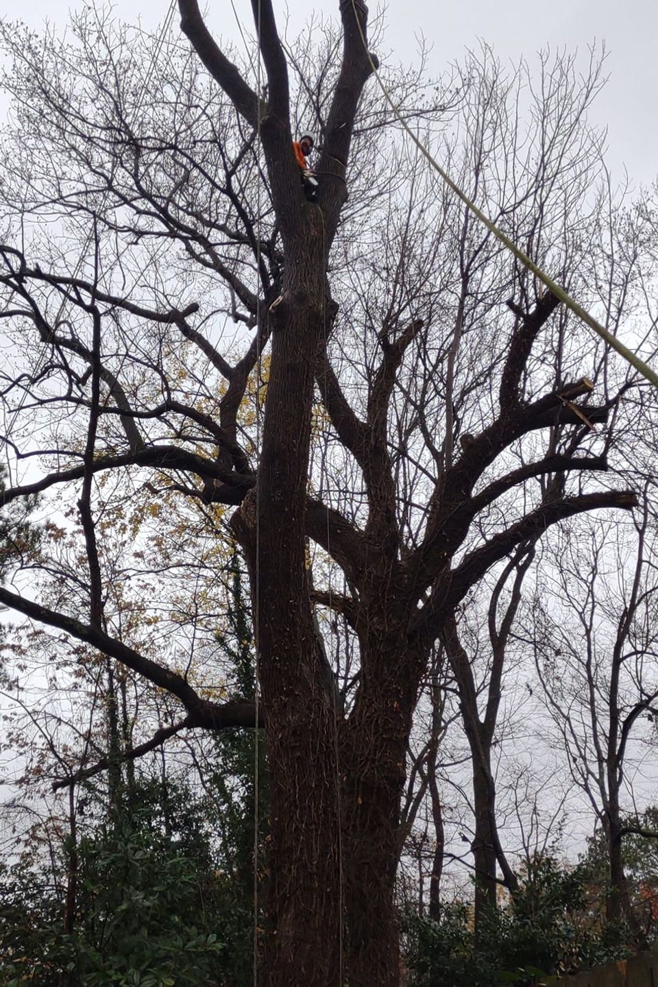 475557637 1023914243088749 8372906321430431753 n